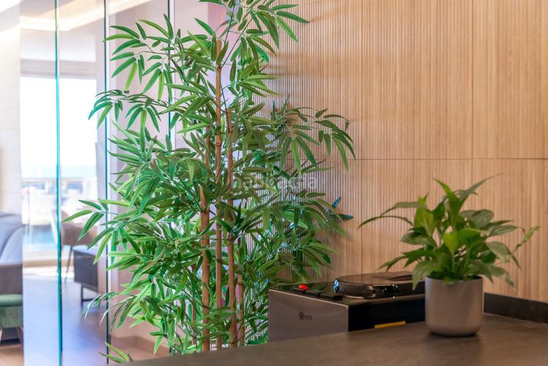 Foto d02a09a8-439b-49f3-ab77-fc35d4bd89f4. Piccolo appartamento con riscaldamento piscina in Altea