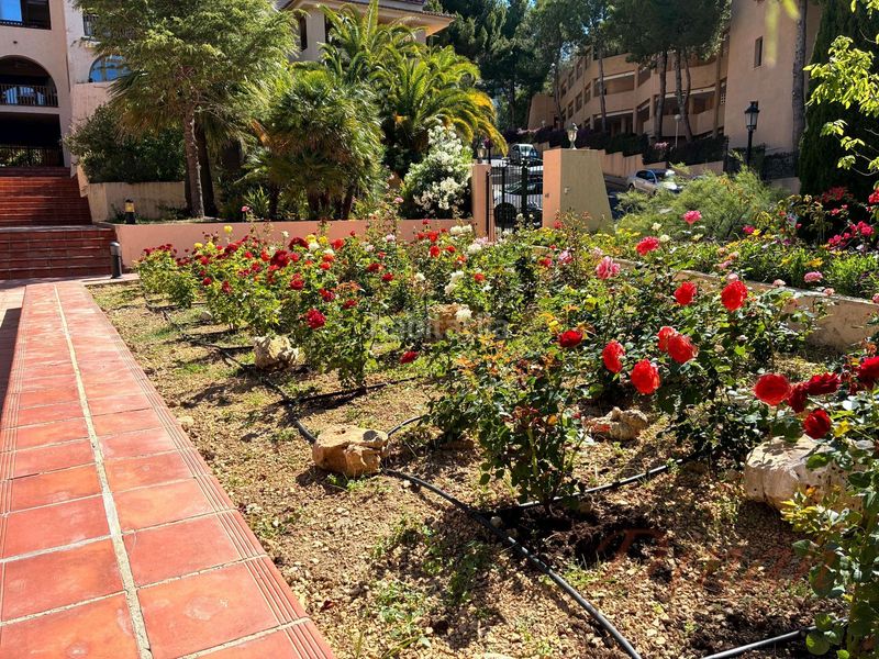Foto 51c6a18d-2809-4b60-9237-1c0b6a94bfe1. Apartament amb calefacció piscina a Altea la vella Altea