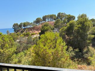 Affitto Piccolo appartamento  Isla de altea. Fabuloso duplex frente el mar , soleado , mucha luz y vistas al