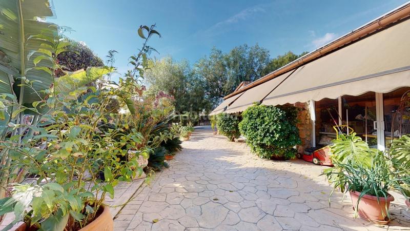 Foto e72bce8c-5038-40e7-a719-17180d157813. Xalet amb piscina a Alzabares Elche / Elx