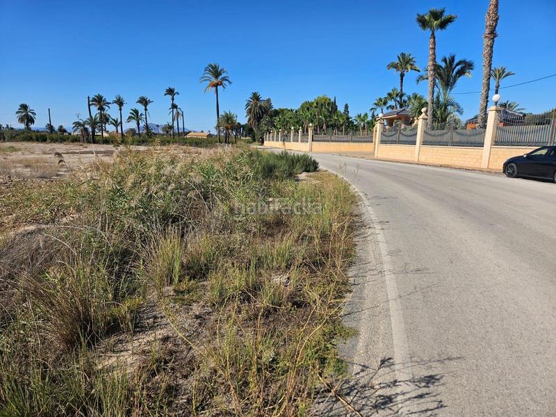 Foto 199a090a-2ebd-43e0-9438-cd23c3e2018d. Terreny residencial a Algorós - El Derramador Elche / Elx
