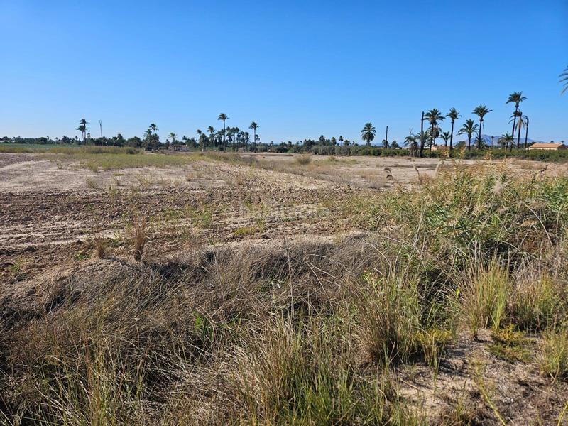 Foto 73ee2962-f7c3-48f7-9494-ecc176ae8e29. Terreny residencial a Algorós - El Derramador Elche / Elx