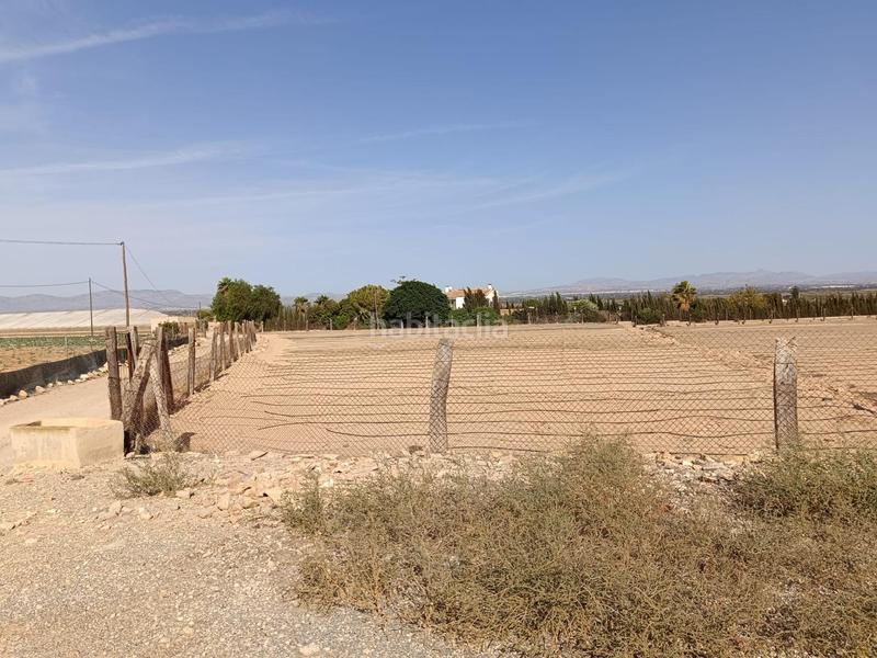 Foto 122f8867-1ab9-42d1-a93a-745820974a16. Finca rústica terreno edificable!!!! en La Marina Elche / Elx