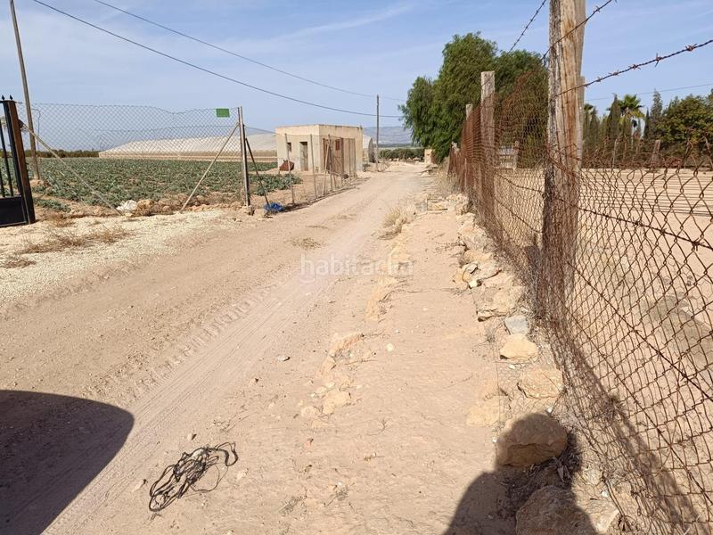 Foto 2da6b307-ada4-432f-bb62-9fe7065df49a. Finca rústica terreno edificable!!!! en La Marina Elche / Elx