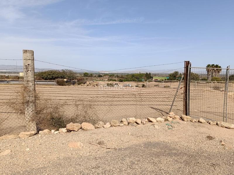 Foto 543fb806-bd13-4597-8283-092434398a7c. Finca rústica terreno edificable!!!! en La Marina Elche / Elx