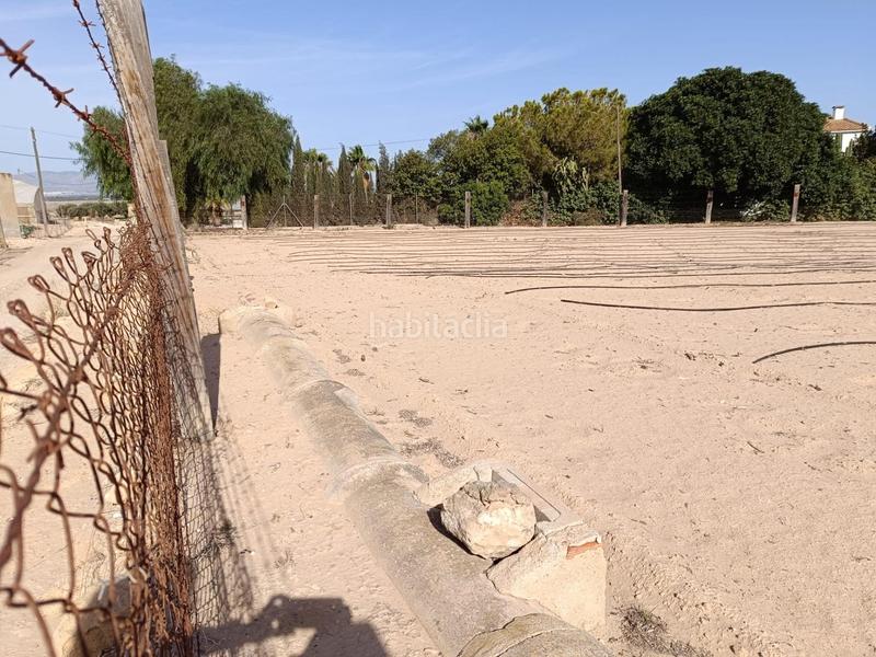 Foto 6b6939ba-0183-4230-ae19-b3f05e522fb7. Finca rústica terreno edificable!!!! en La Marina Elche / Elx