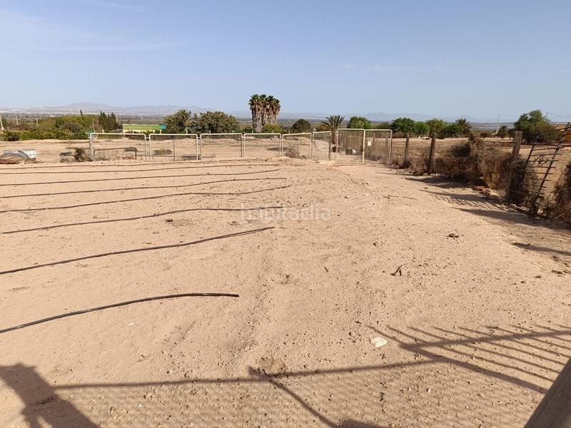 Foto 92dda6bf-440b-4737-86a1-ead7fde5147c. Finca rústica terreno edificable!!!! en La Marina Elche / Elx