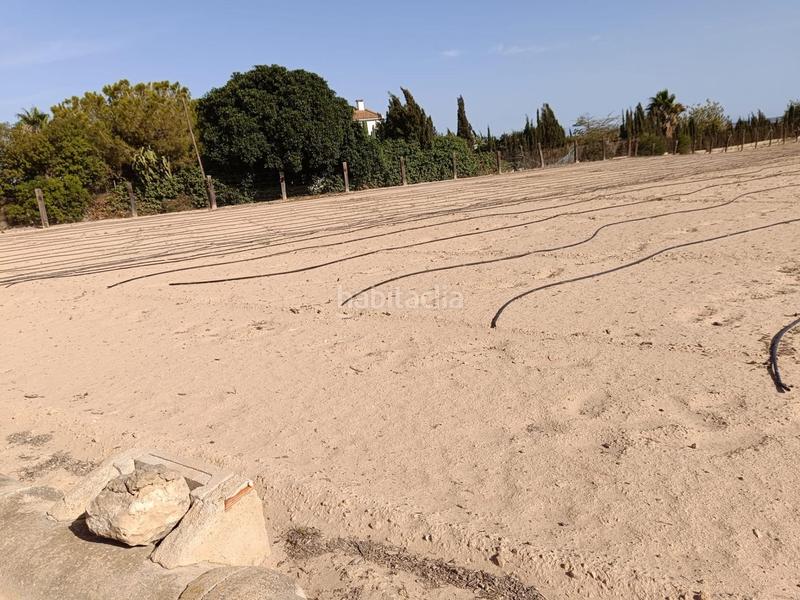 Foto 98b1952e-c82d-45c1-ad7b-ed94e0815d23. Finca rústica terreno edificable!!!! en La Marina Elche / Elx