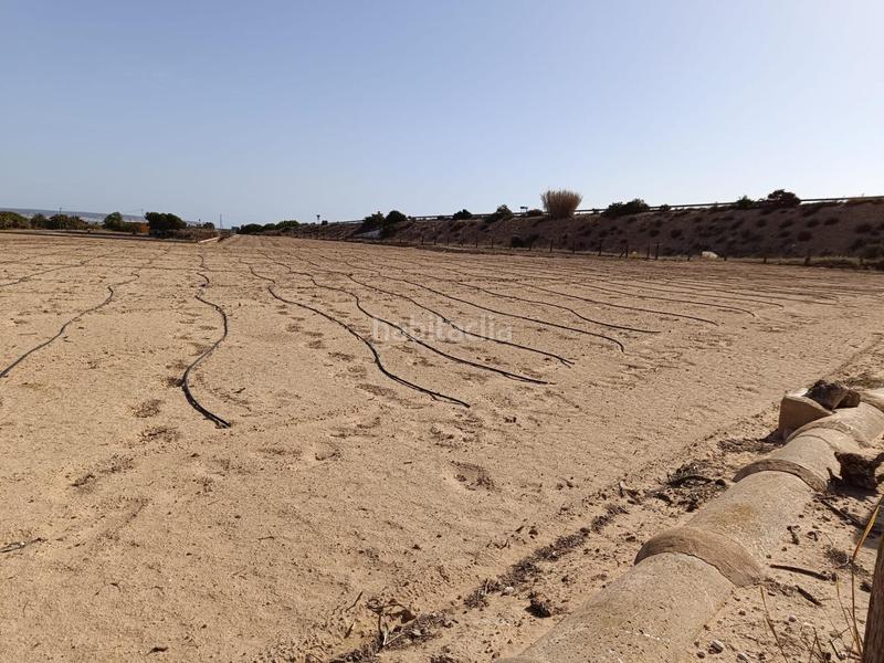 Foto dbdae791-17aa-4052-8d6b-d664403b2036. Finca rústica terreno edificable!!!! en La Marina Elche / Elx