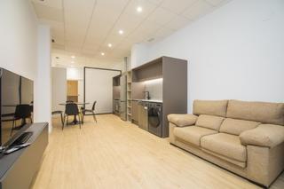 Pis a Ciutat Jardí - Torreta Verdí. Loft a estrenar !!!!