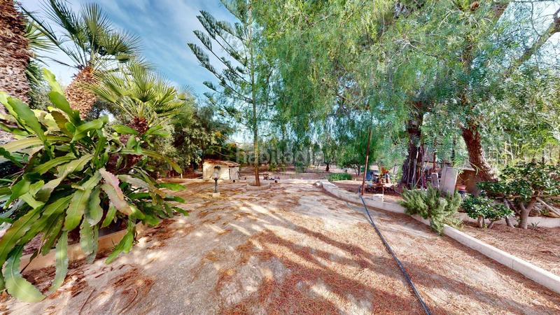 Foto 3d225e15-ff2b-4680-a272-39b86991f0ad. Chalet  con gran potencial en Las Bayas, elche ideal para transformar en un oasis ibicenco !! en Elche / Elx