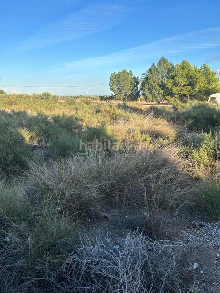 Foto 36b3b777-8f6d-4a80-b62c-6ee614a7c5af. Casa con piscina in Crevillente