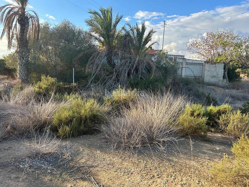 Foto 54c6cb3d-3c4f-49ff-8d36-62248c413141. Casa con piscina in Crevillente