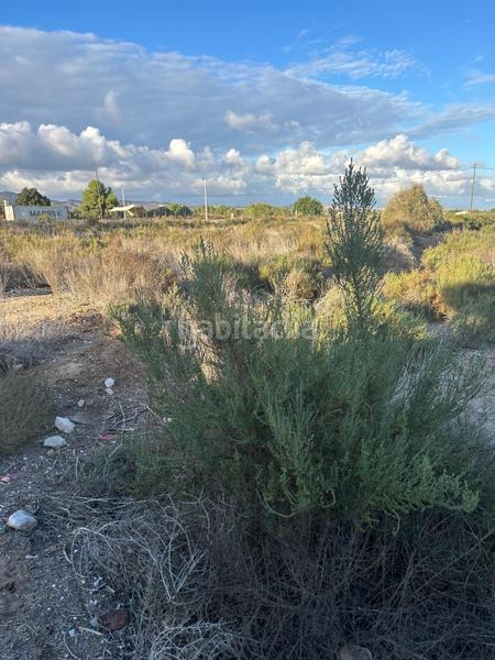 Foto 88e198f1-3ba7-4fb3-bc1d-11c8b5e1580f. Casa con piscina in Crevillente