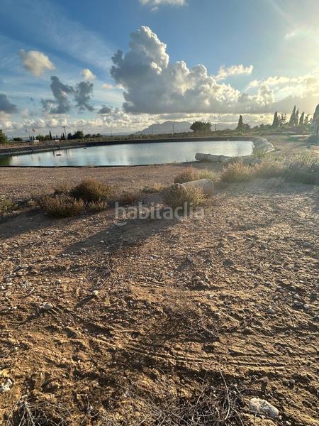 Foto c480fc39-e5f4-4b11-85a7-8fd9b7f2afc9. Casa con piscina in Crevillente