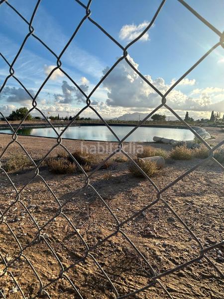 Foto ee143eb4-2870-4209-90a2-38132255a3bb. Casa con piscina in Crevillente