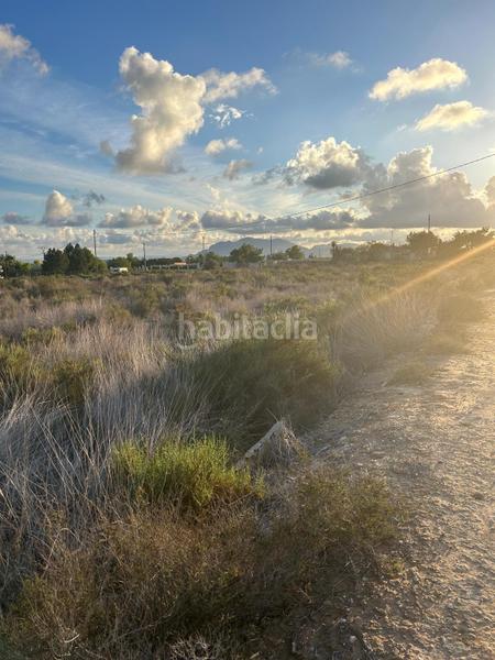 Foto f11219e1-e1f9-403e-9a1f-2ca4881e0f76. Casa con piscina in Crevillente