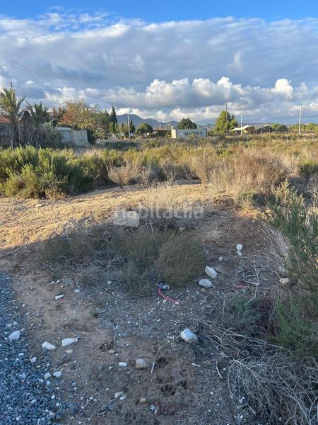 Foto f5e9c8c7-e9b7-4b36-9534-4129737e11e9. Casa con piscina in Crevillente