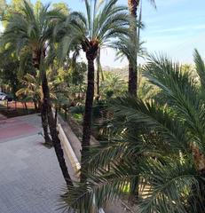 Pis a El Raval - Portes Encarnades. Buscas  un hogar acogedor y en un entorno relajado ? la tranquil