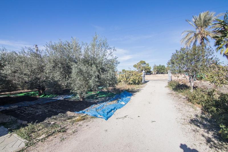 Foto 6e785b7a-e09e-45a9-be89-db56572a8261. Chalet dans La Algoda - Matola - Llano de San José Elche / Elx