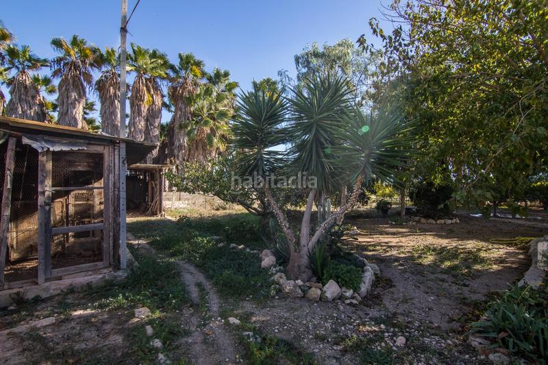 Foto a6d2105b-a579-496f-9145-e0087faba31b. Chalet dans La Algoda - Matola - Llano de San José Elche / Elx