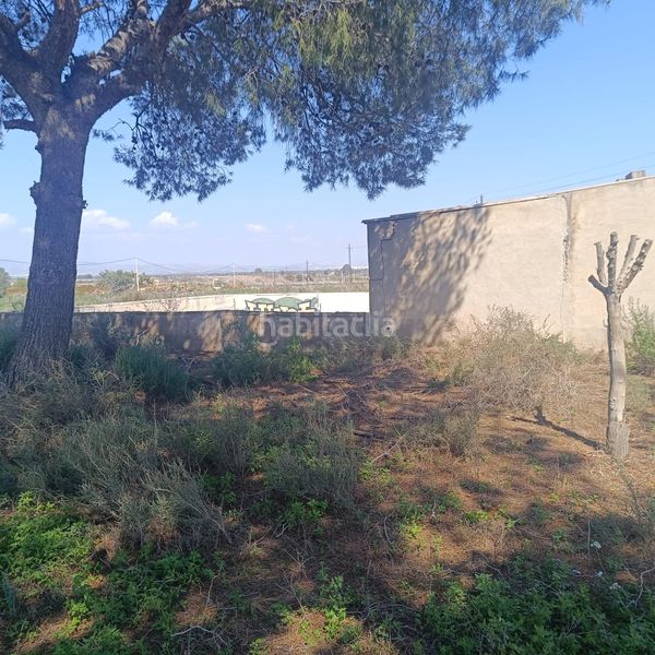 Foto 08229338-8c53-4da4-af2c-326645287647. Finca rústica a La Marina Elche / Elx
