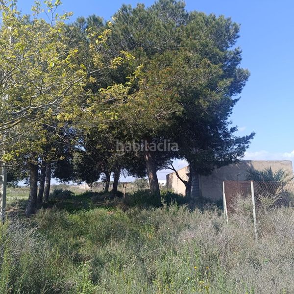 Foto 0df679b0-37c2-4d1e-a684-6d182819c1c8. Finca rústica a La Marina Elche / Elx