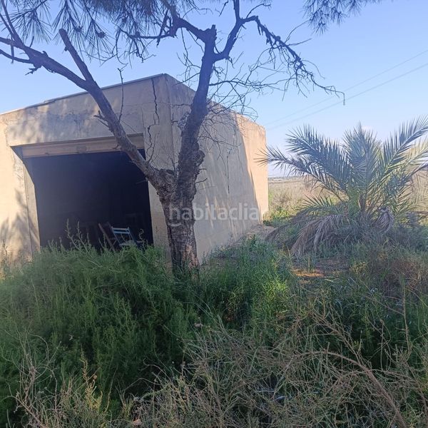 Foto 2c7ed2be-b280-4a92-9776-ebb810015052. Finca rústica a La Marina Elche / Elx
