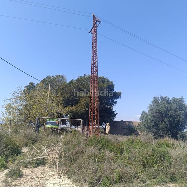 Foto 5cfa33f6-ed43-434c-a704-53872657a7b0. Finca rústica a La Marina Elche / Elx