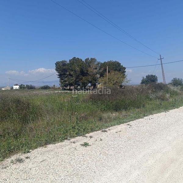 Foto 729e2633-b748-4e0d-a751-7c1c8c423f75. Finca rústica a La Marina Elche / Elx