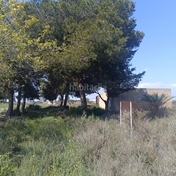 Foto 9d19a9ac-4d8d-437b-afd0-0b71b21f0bef. Finca rústica a La Marina Elche / Elx