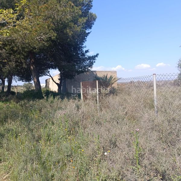 Foto de178cf4-2cd0-4948-8667-cb652672ecbc. Finca rústica a La Marina Elche / Elx
