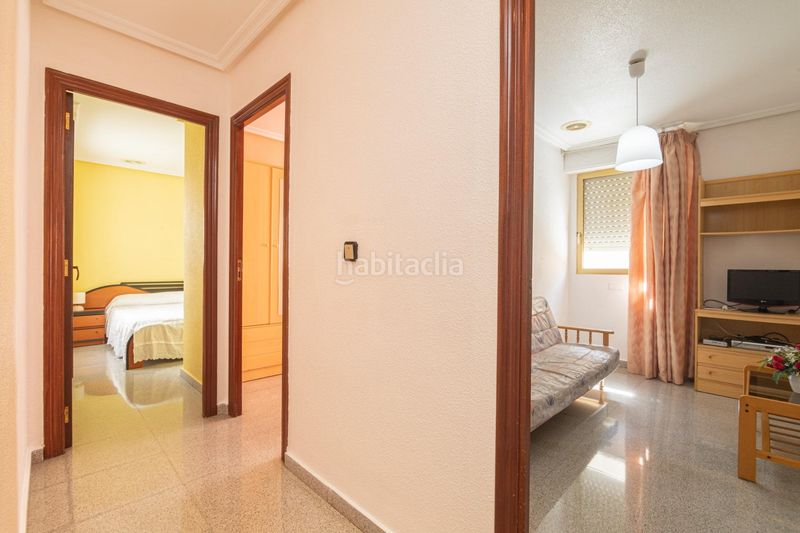 Foto 0a3d4bda-af2e-44ce-803d-3b4477af0bfc. Pis a El Toscar Elche / Elx