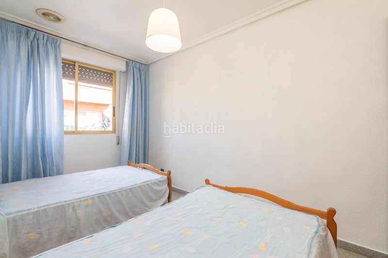 Foto 3b89cdb3-6c7f-44ea-830c-3690558b5f0d. Pis a El Toscar Elche / Elx