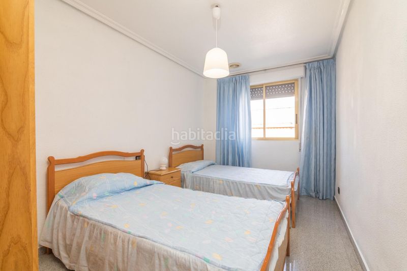 Foto 56ba799a-9d7a-4a45-b64f-5fb8be37767a. Pis a El Toscar Elche / Elx