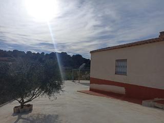 Rural plot  Avenida de yecla. Finca con casa y 18 tahullas plantadas de olivos