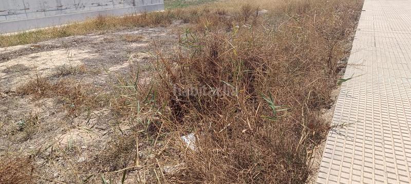 Foto 74e3e5f0-f4b9-46ed-8523-f364d723f2b6. Residential plot in Callosa de Segura