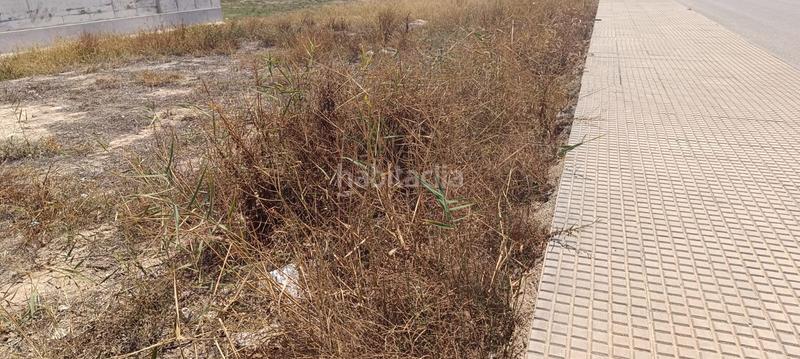 Foto ee5638a2-4ae0-415b-b140-9ee0bc7bd8e7. Residential plot in Callosa de Segura