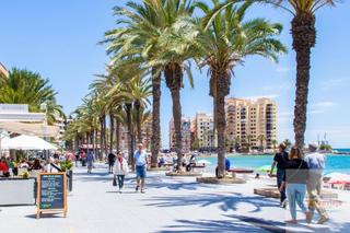Apartament en Ramon gallud, 109. Torreviejaapartamento
