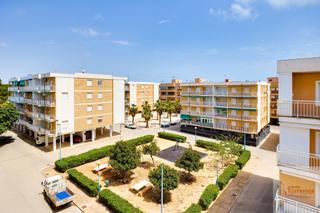 Attique en Punta Prima. Orihuela costaatico
