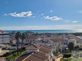 Attique à Abedul. Torreviejaatico