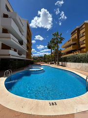 Affitto Piccolo appartamento in Punta Prima. Torreviejaapartamento