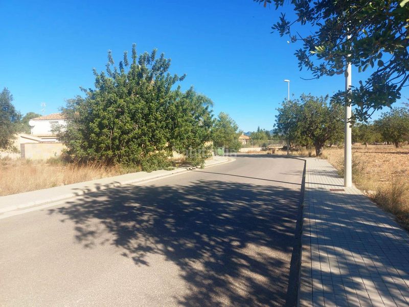 Foto e8ccdf4d-47ab-4287-aba8-5b424284adbd. Terreno residencial parcela edificable y con posibilidad de segregar en Llíria
