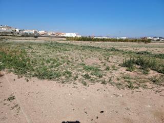 Finca rústica a Casco Antiguo. Terreno rústico para el cultivo