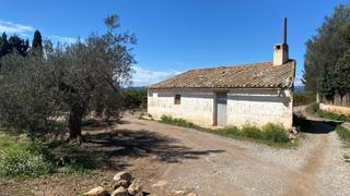 Finca rústica a Urbanizaciones. Campo de mandarinos de la variedad clemenules en su mayor parte