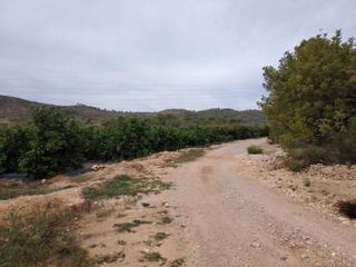 Finca rústica a Santa Bárbara. Terreno rústico en venta