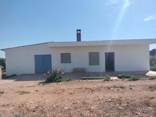 Chalet en Casco Antiguo. Casa de campo con naranjos en producción