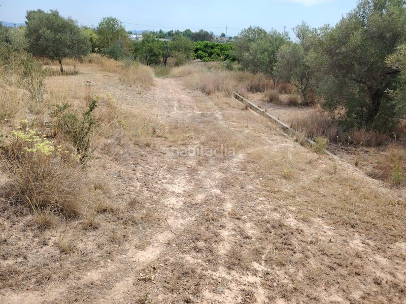 Foto 3406b671-e4c7-4304-91c2-23446b10d3d4. Finca rústica a Urbanizaciones Llíria