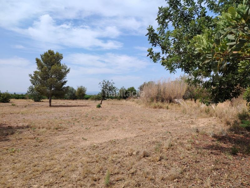 Foto 8c8d22c1-0ede-4da3-a02c-e8eb000b3aae. Finca rústica a Urbanizaciones Llíria