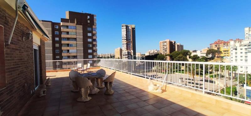Foto c2a0f25e-0a2c-43cf-bff5-3a821ded108d. Pis a Campello Playa Campello (el)